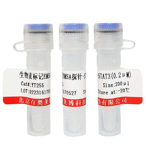 非臨床診斷用生物試劑采購指南 染色試劑價格與供應商信息解析