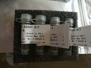 細胞生物學檢測試劑盒 非臨床診斷用生物試劑的應用與展望