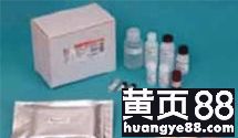 探索生命科學邊界 武漢市古泰生物技術有限責任公司主營試劑、抗體與耗材業務解析